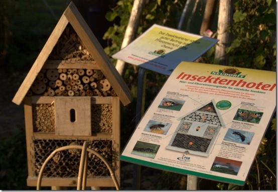 Insect hotel - Germany