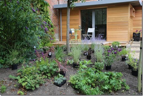 laying out the plants 