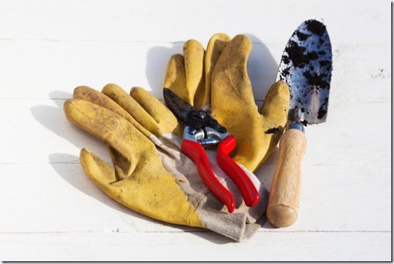 7 Gloves. pruners and trowel