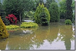 FloodedGardenMayCredAdrianBloom_L