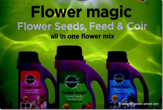 Flower Magic