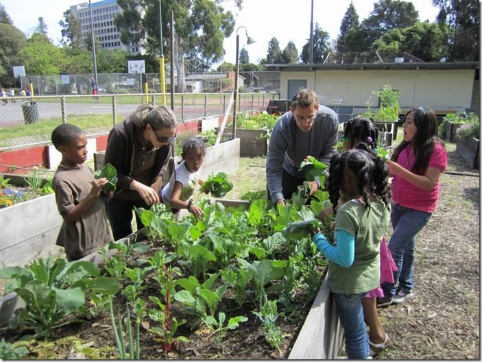 3 Community Garden