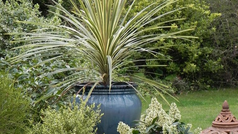 How Do You Frost Proof Glazed Garden Pots?