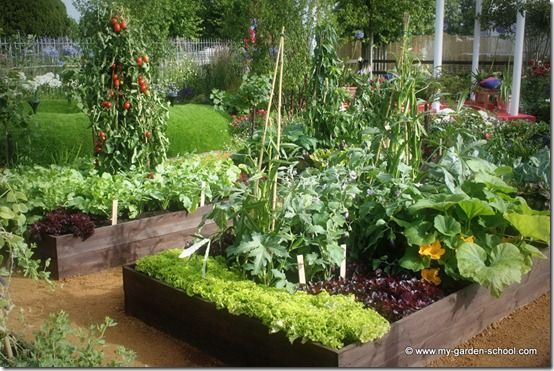 Raised Veg Beds @ HCPFS 1