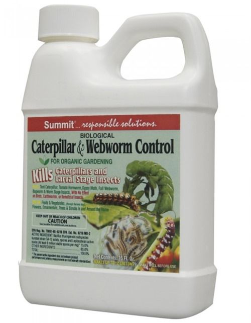 019-12-Biológicas-Lagarta-Webworm-Controle-16OZ-e1315552678515