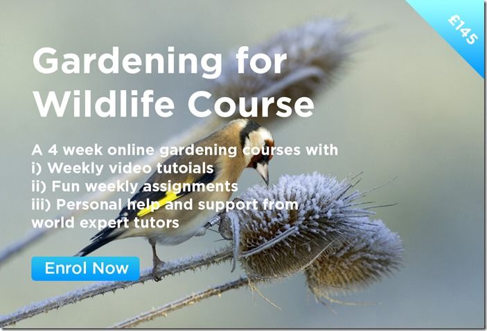 Gardening for Wildlife Course