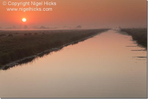 A misty sunrise view of the King's Sedgemoor Drain, in the Somerset Levels, nr Langport, Somerset, Great Britain. sunset, sunsets, exposure, golden hour, camera lens, white balance, sun, light, dusk, 