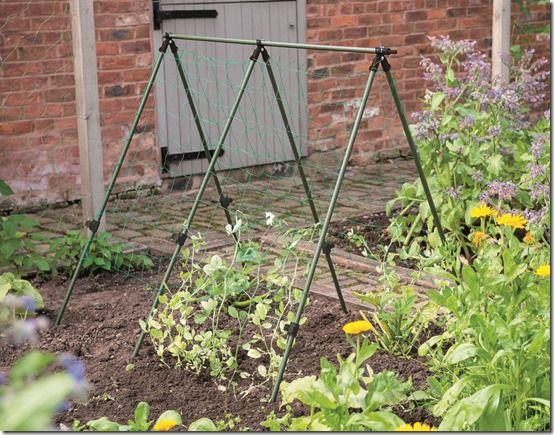 08006_pea frame 1.2m x 1.2m