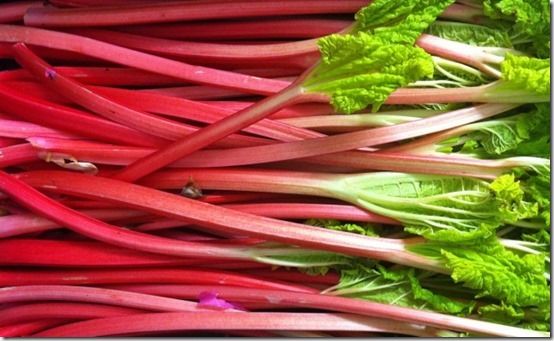 Rhubarb 'Passion'