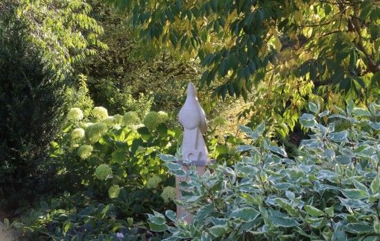 5 Hydrangea arborescens 'Annabelle' (800x508)