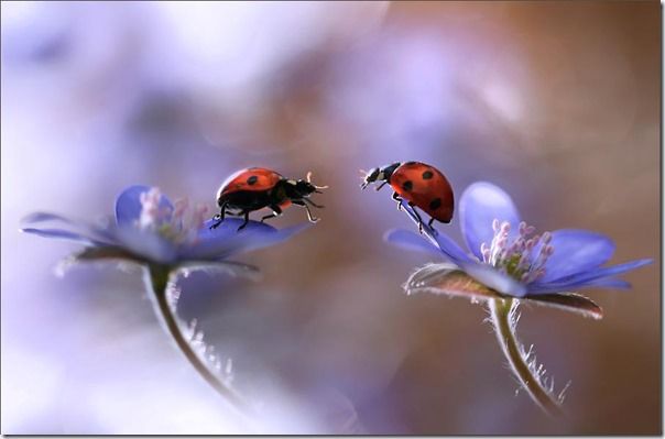 Bokeh, Background, DOF, Small, Depth of Field, Pattern, lighting, Aperture, lens, fast, 