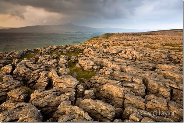 Limestone Pavement near Inglebrough in the Yorkshire Dales, England