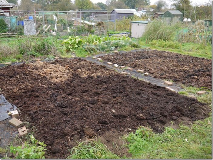 7 Applying manure