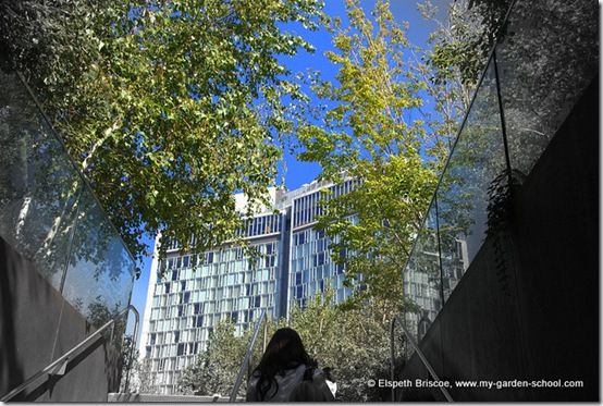 The Highline New York