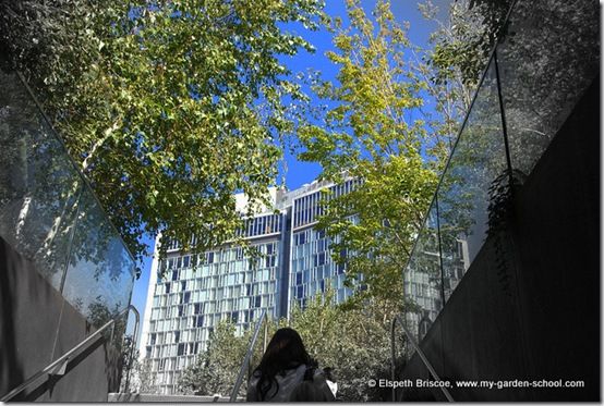 New York's High Line garden is a masterclass in urban regeneration