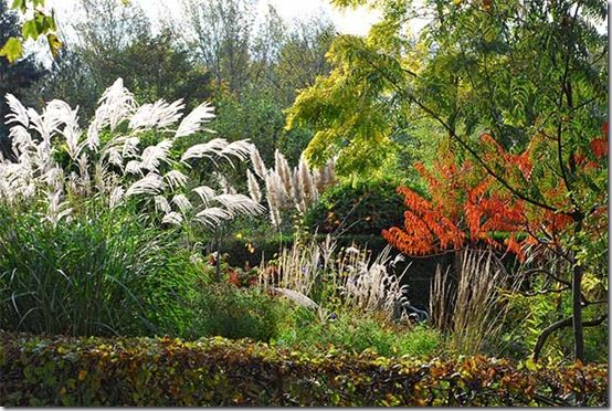 Planting Design with Grasses