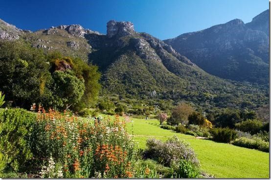 Kirstenbosch Botanical Gardens, Cape Town, South Africa