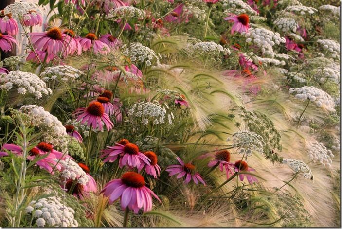Entry in the seventh International Garden Photographer of the Year competiton 2013. May be reproduced only with the permission of the organisers - contact press@igpoty.com
<br>
