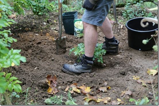 Firm around plant with heel