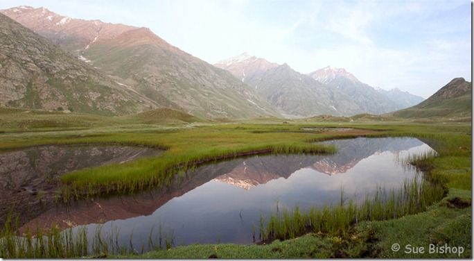 Panoramic images