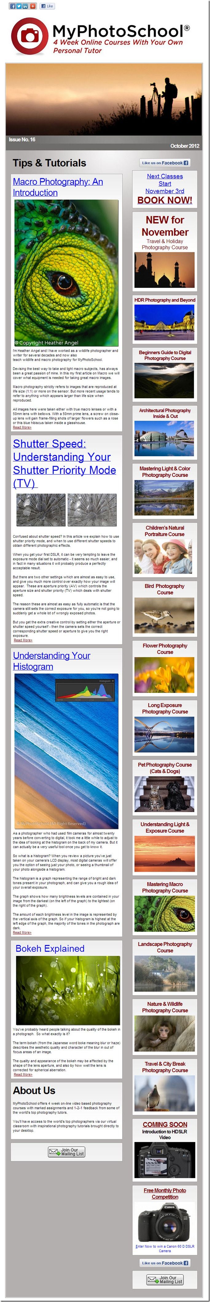 Newsletter 16