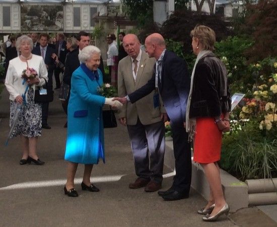 Meeting the Queen