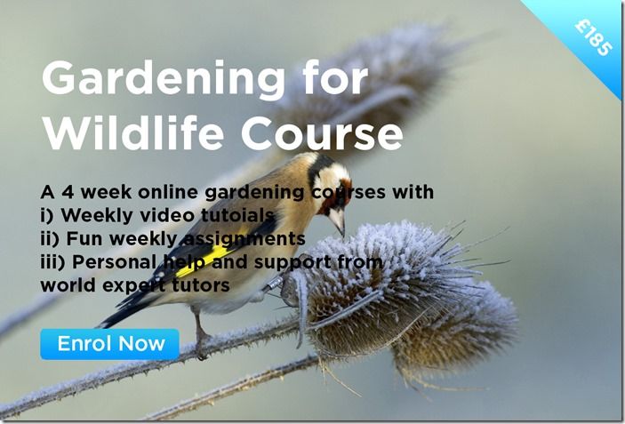 Gardening for Wildlife Course