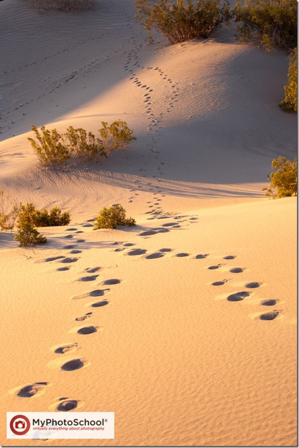 Photographing Death Valley, desert photography, sand dunes, Stovepipe Wells, California, landscape photography, Desert Landscapes, 