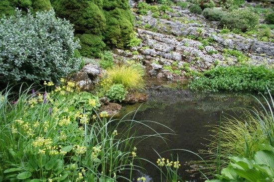 Yorkshire crag garden