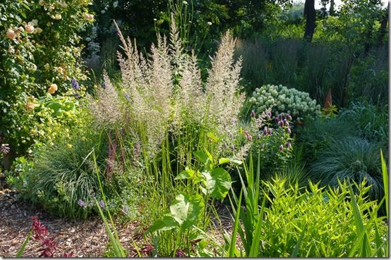 Using grasses in planting