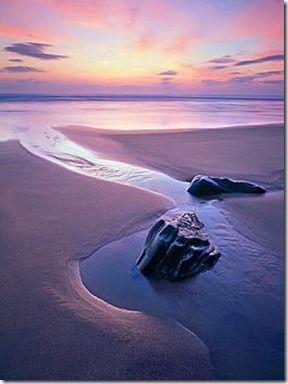 Joe Cornish