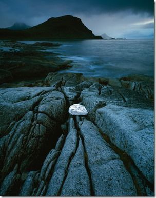 David Ward