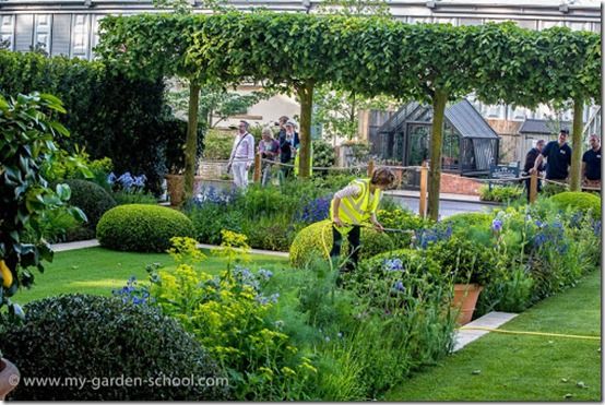 Chelsea Flower Show 2014 The Telegraph Garden2