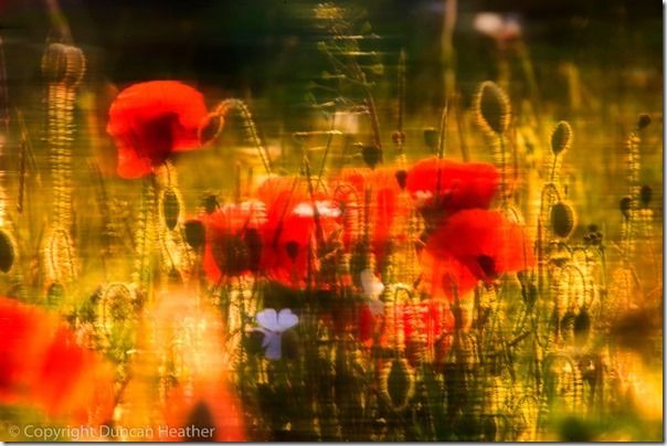 Creative Shutter Speed, Long exposure, Long Exposures Photography, Shutter Speed, Slow, Panning, Blur, Motion Blur, Slow Water, Light Trails, portraiture, People motion blur, Shutter Priority Mode, S, TV, 