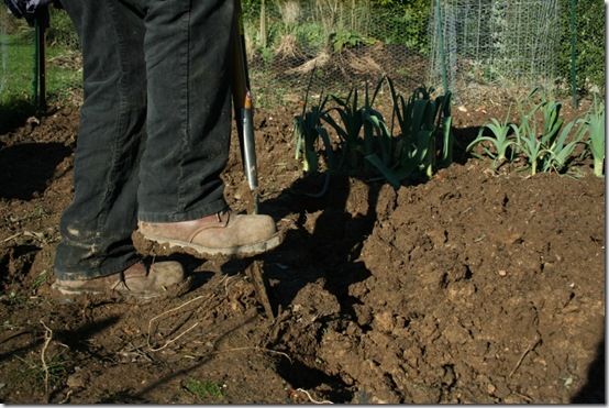 Digging the plot in winter