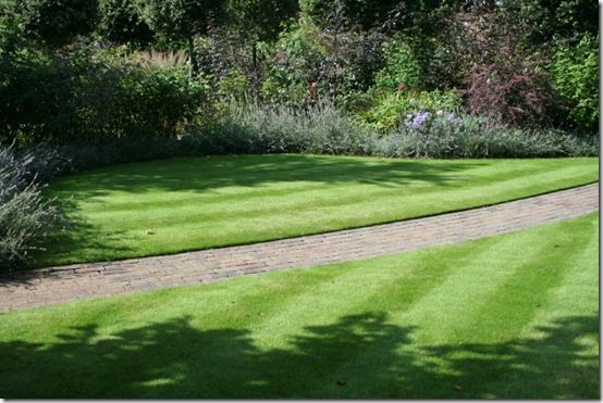 Nice lawn with stripes