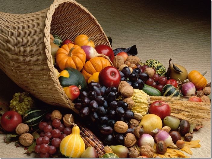 Bountiful-Harvest