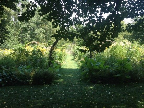 Cutting Garden Chanticleer 