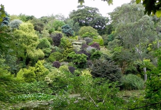 Amazingly diverse planting