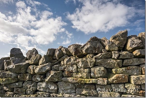 Dry-stone wall in a farm field near the village of Allendale, Northumberland, England