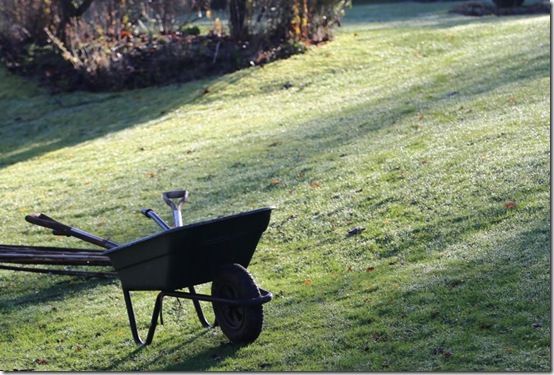 frosty day wheelbarrow