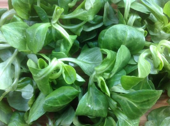 8 Lamb's lettuce