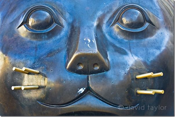 Face of the Columbian artist, Fernando Botero's cat sculpture, currently situated in Rambla del Raval, Barcelona, Camera shake, handholding, viewfinfer, upside down, image, photograph, veiwpoint, zone, Photography project, vertical, horizontal, landscape and portrait,