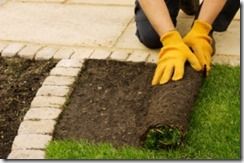 airating a lawn, airation, Autumn, Autumn Lawn Care, carbaryl, Corticium, Dollar spot, Fall lawn care, firtilizer, Fusarium, grass seed, Imidacloprid, lawn Pests and diseases, Leatherjackets, leaves, Mowing, re-seed, Spiking the lawn, Toadstools, trifloxystrobin