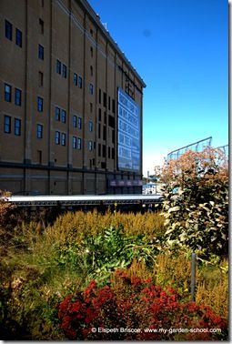 New York's High Line garden is a masterclass in urban regeneration