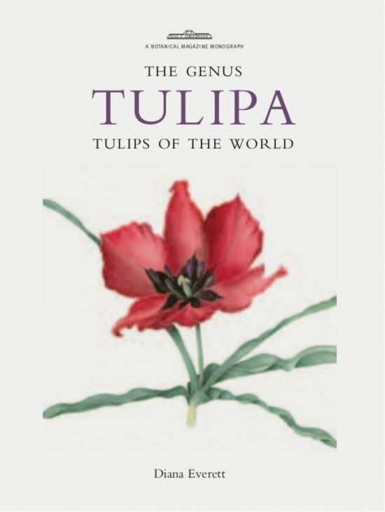 The genus tulipa