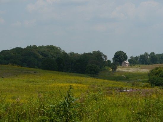 Longwood Meadow Garden