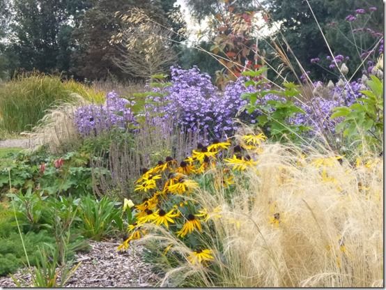 scree garden