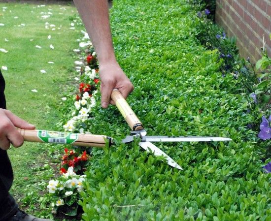 Trimming Box