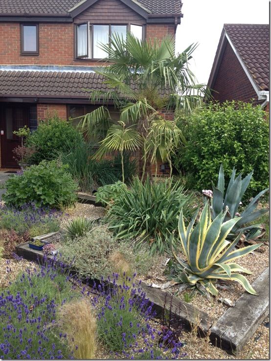 a touch of the Med in a front garden 